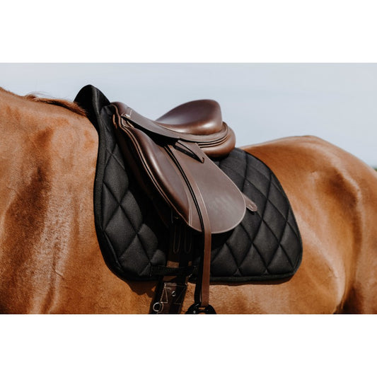 Brown horse with a black quilted saddle pad and brown leather saddle on a light blue background