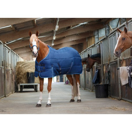 Chestnut horse in the middle of a barn wearing a navy stable rug.