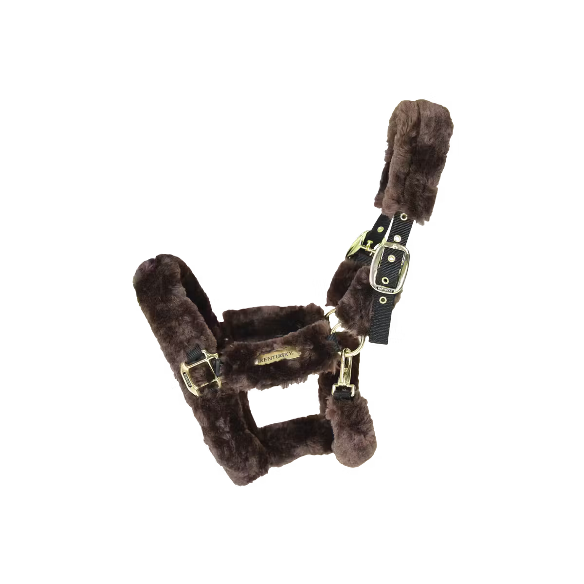 Brown fluffy headcollar with gold buckles on a white background
