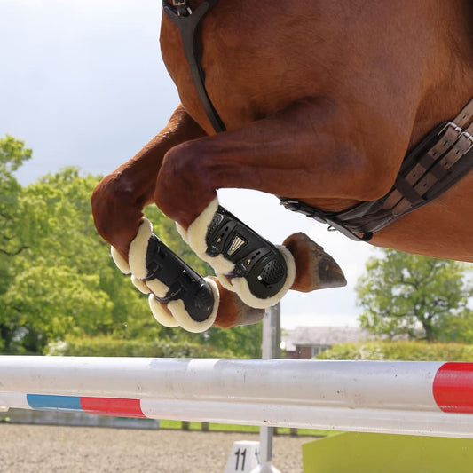 Boomerang Equestrian - Shires Arma Oxi-Zone Supafleece Tendon Boots Black