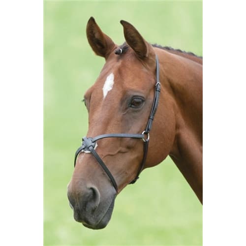 Boomerang Equestrian - Shires Blenheim Mexican Noseband Brown