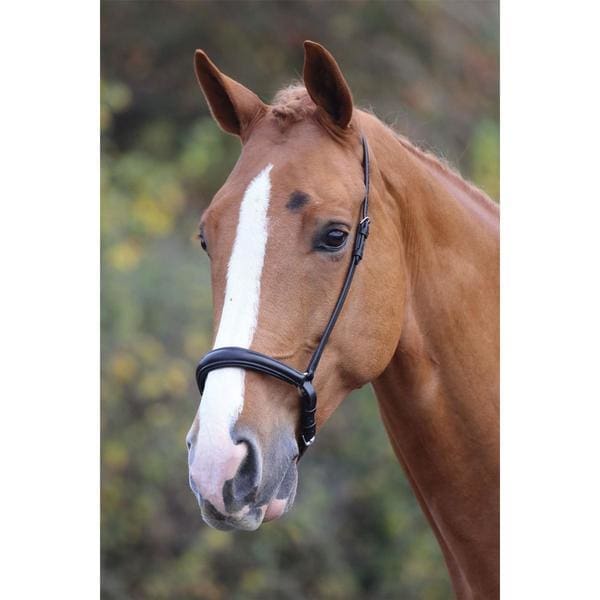 Boomerang Equestrian - Shires Padded Drop Noseband Black