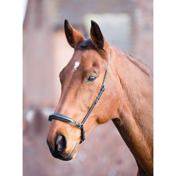 Boomerang Equestrian - Shires Padded Drop Noseband Brown