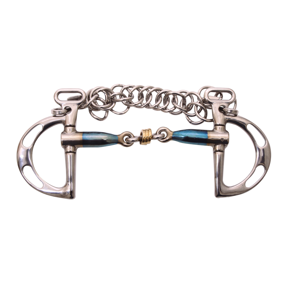 Horse bridle bit with metal chain on a white background