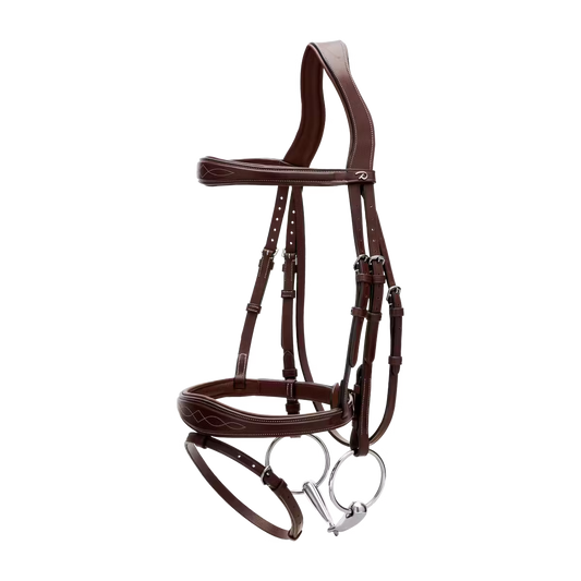 Brown horse bridle on a white background