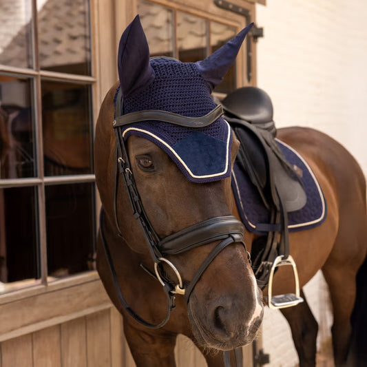 Horse wearing a blue fly mask and saddle pad in a stable.