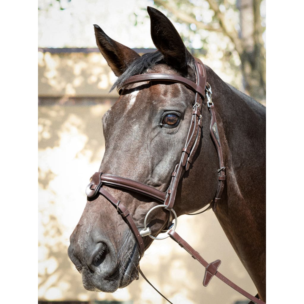 Boomerang Equestrian - Equiline Anatomical JP Bridle With Removable Flash Noseband NB446 Brown