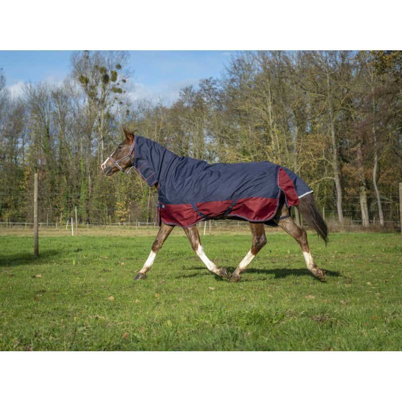 Boomerang Equestrian - Equitheme Tyrex 0g Outdoor Rug With Neck Navy/Burgundy