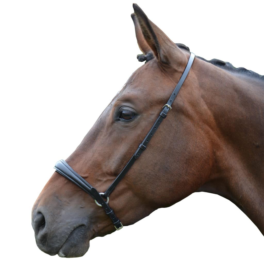 Boomerang Equestrian - Hy Padded Drop Noseband