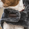 Kentucky Dog Coat Fake Fur Grey - Dog Coat