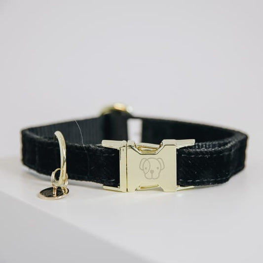 Boomerang Equestrian - Kentucky Dog Collar Corduroy Black