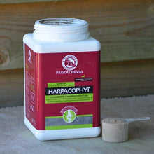  Paskacheval Harpagophyt 1kg - Animals & Pet Supplies
