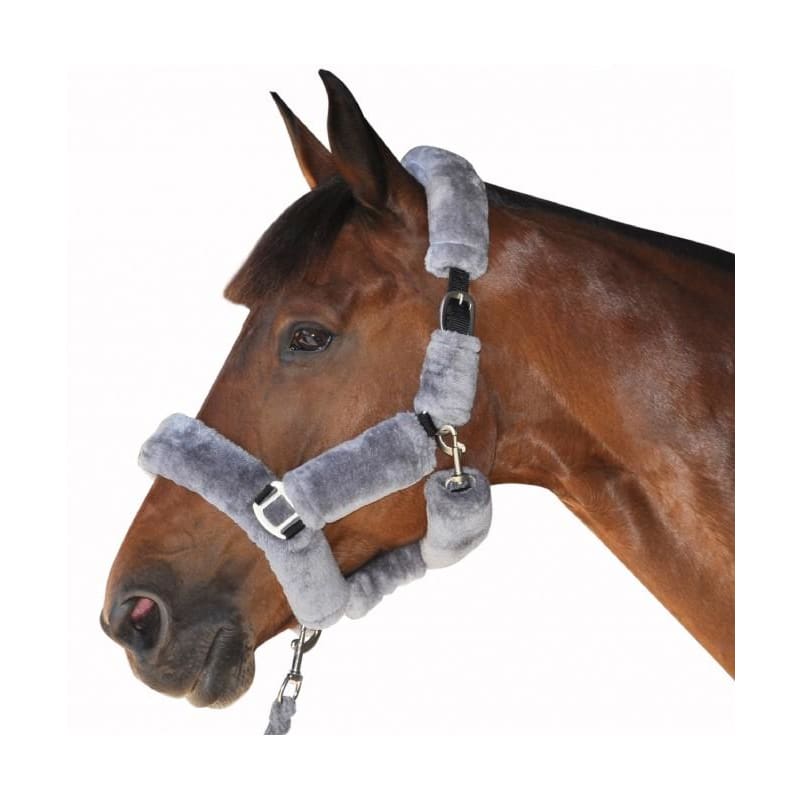 Boomerang Equestrian - Privilege Equitation Canter Shipping Headcollar Grey