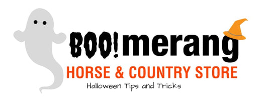 Halloween and Keeping Animals Safe