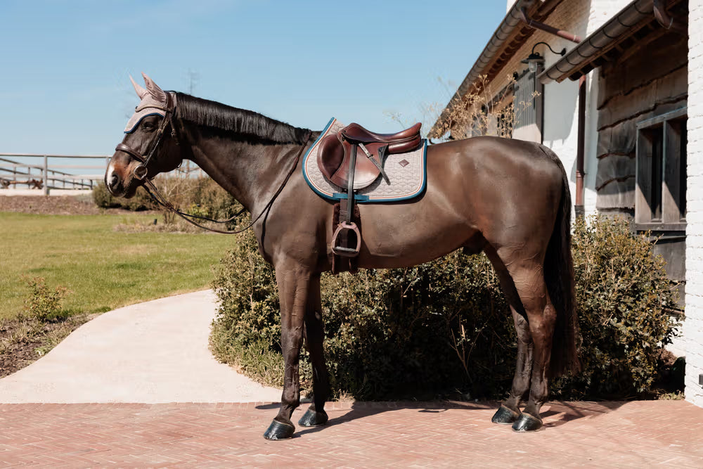 Horse wearing Kentucky saddle pad, fly veil, and leather tack standing outside stable yard – premium horsewear from Boomerang.ie.