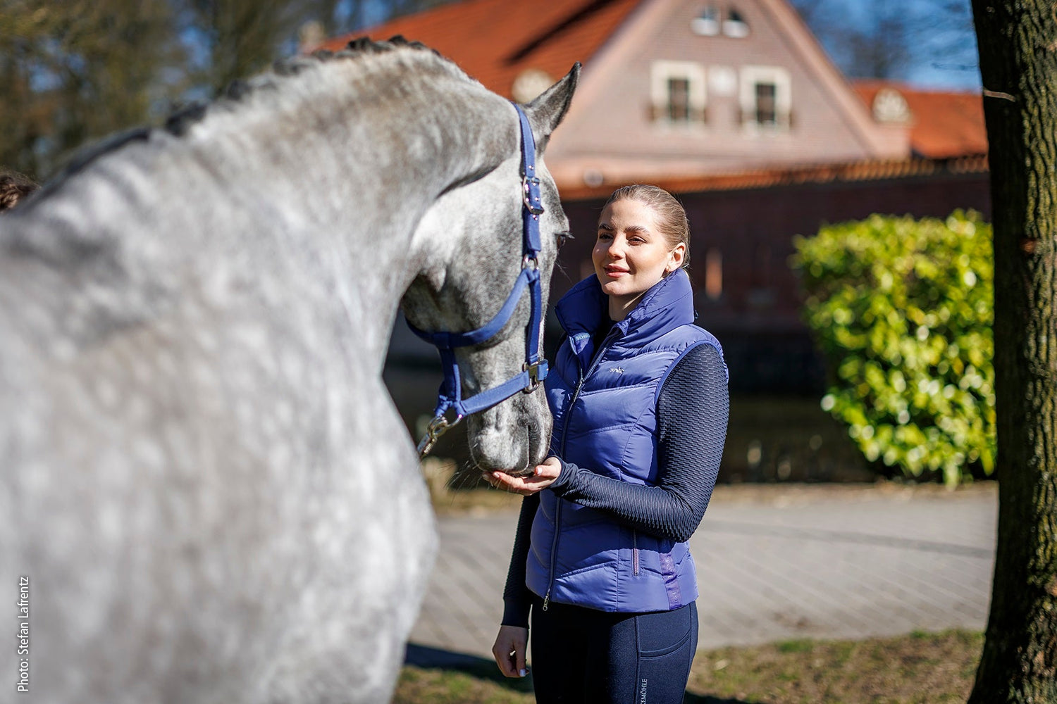 Rider wearing a navy padded gilet feeding a grey horse outdoors – luxury equestrian style at Boomerang.ie