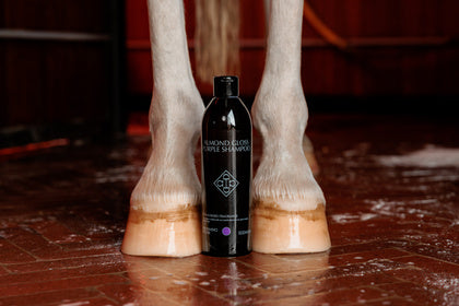 Kentucky Grooming Deluxe Almond Gloss Purple Shampoo