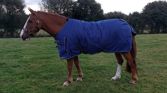 Turfmasters Ophelia 400 g Standard Neck Turnout Rug