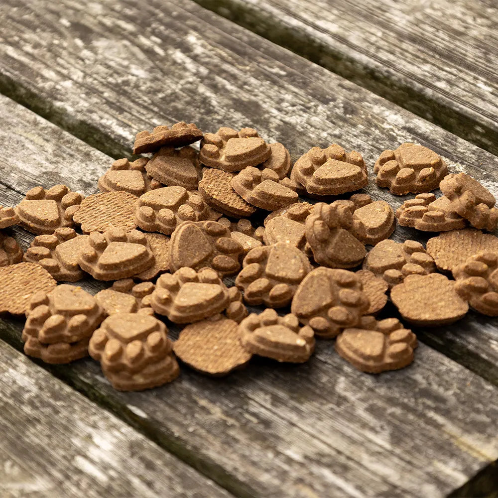 Boomerang Equestrian - Benji & Flo Gut Guardian Digestive Treats Chicken