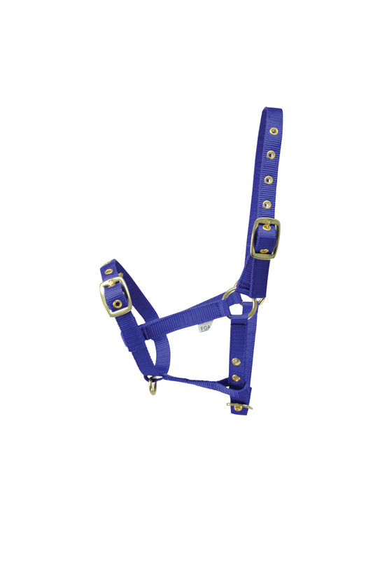 HY Equestrian Foal Head Collar Blue