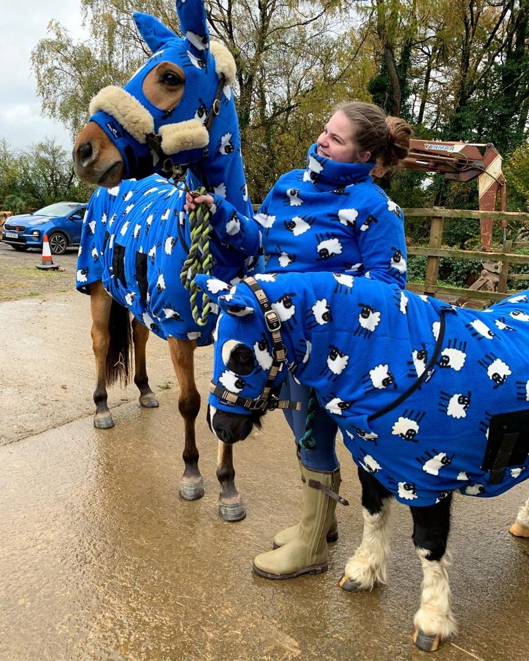 Boomerang Equestrian - Snuggy Hoods Jams Fleece Rug Blue Sheep