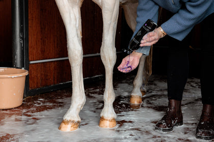 Kentucky Grooming Deluxe Almond Gloss Purple Shampoo