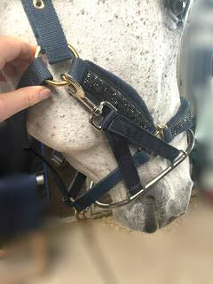 Boomerang Equestrian - One Equestrian Stallion Ring