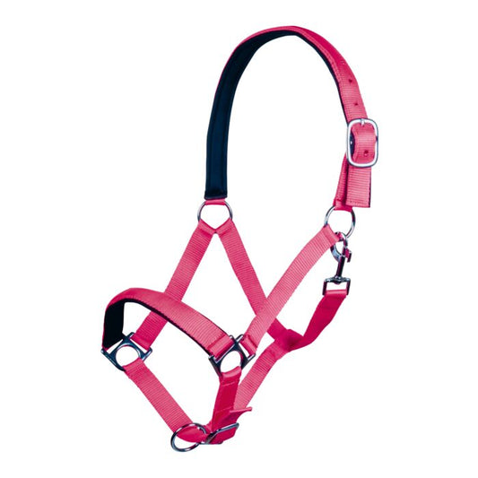 Pink horse halter with black straps on a white background