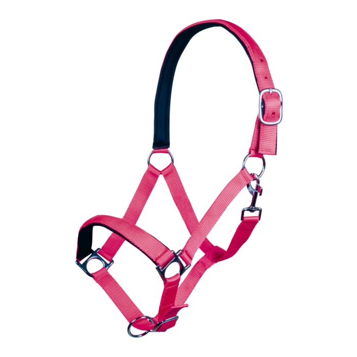 HKM Headcollar Stars Softice With Soft Padding
