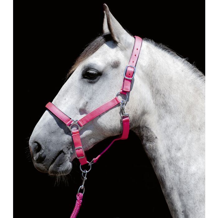 HKM Headcollar Stars Softice With Soft Padding