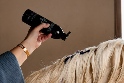 Kentucky Grooming Deluxe Almond Gloss Purple Shampoo