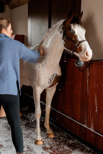 Kentucky Grooming Deluxe Almond Gloss Purple Shampoo