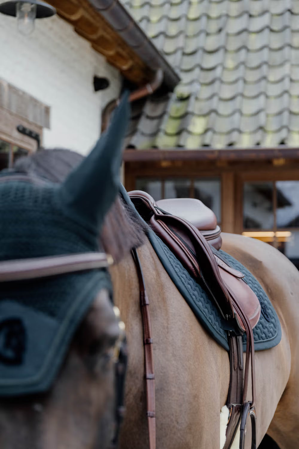 Brown saddle with a green saddle pad on a bay horse