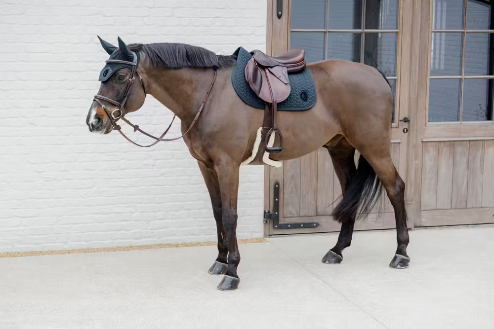 Horse standing tacked up outside a barn