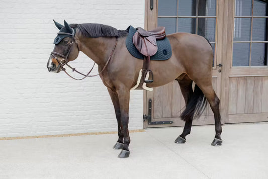 Horse standing tacked up outside a barn