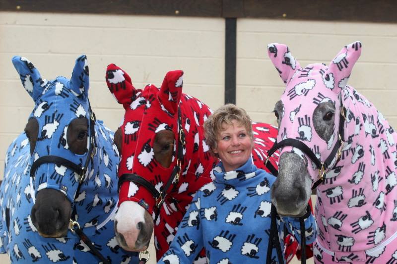 Boomerang Equestrian - Snuggy Hoods Jams Fleece Rug Pink Sheep