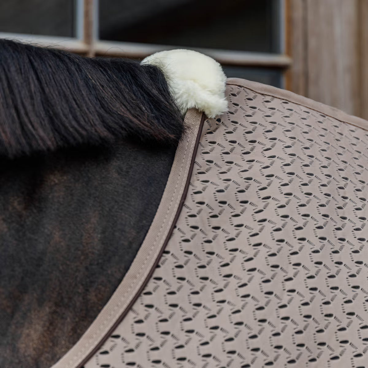 Close-up of a horse's wither with a patterned blanket underneath