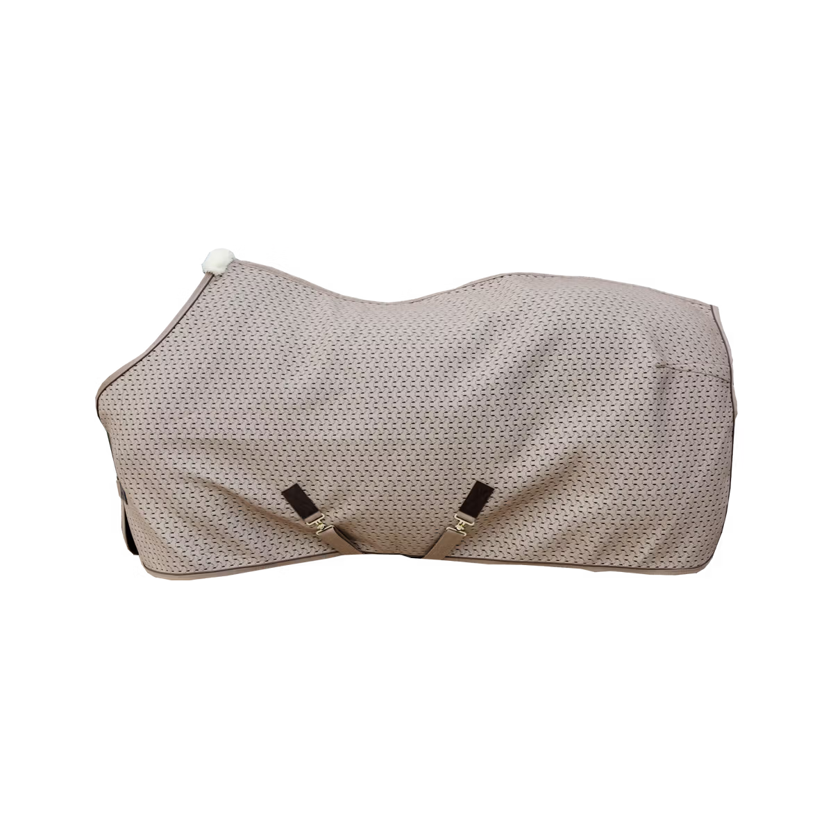 Beige horse rug with decorative elements on a transparent background