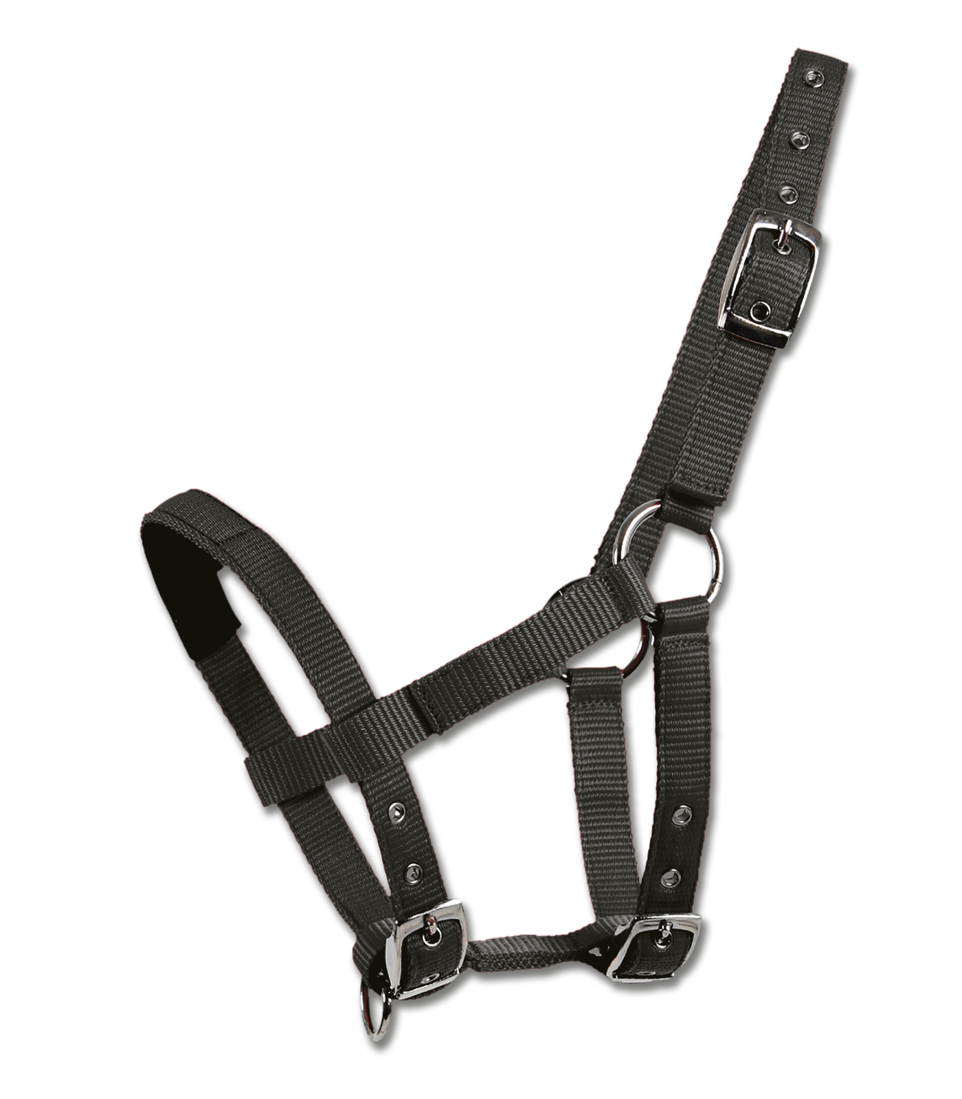 Boomerang Equestrian - Waldhausen Padded Halter
