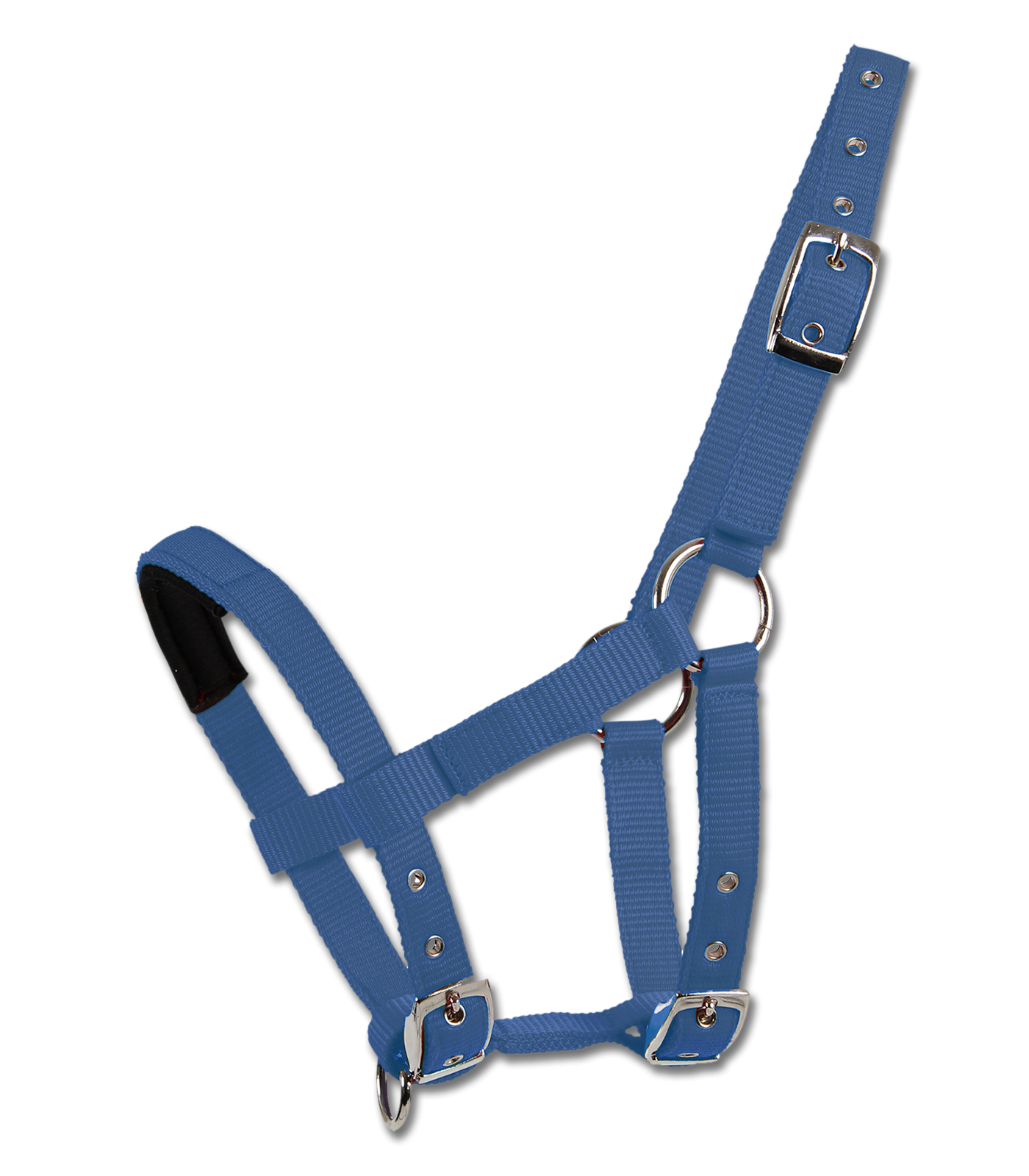 Boomerang Equestrian - Waldhausen Padded Halter
