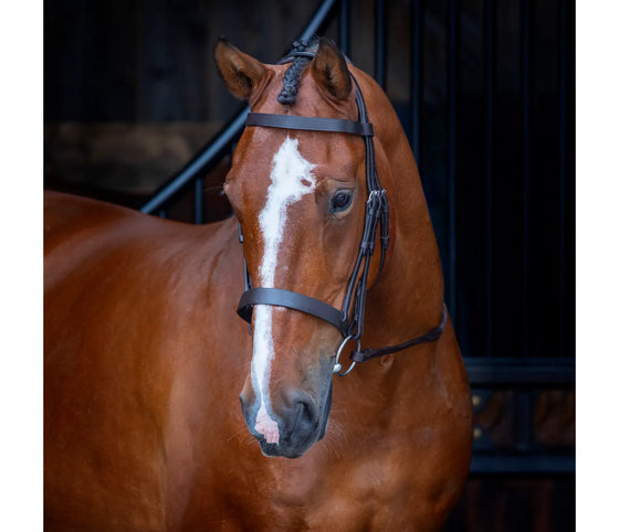 Velociti Hunter Cavesson Bridle