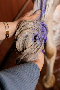 Kentucky Grooming Deluxe Almond Gloss Purple Shampoo