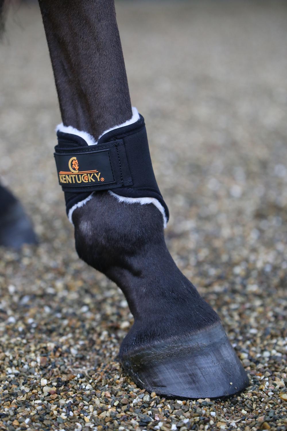 Brushing Boots Solimbra Hind Short | Kentucky Horsewear | Protection — Image 3