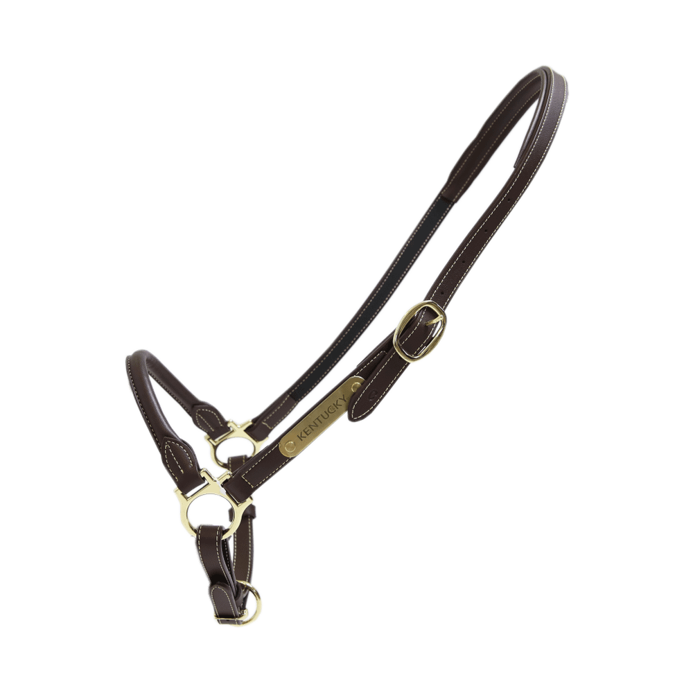 Leather Grooming Halter | Kentucky Horsewear | VeganLeather