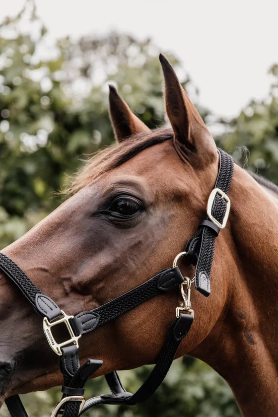 Kentucky Plaited Nylon Halter Black