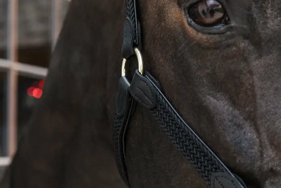 Kentucky Plaited Nylon Halter Black