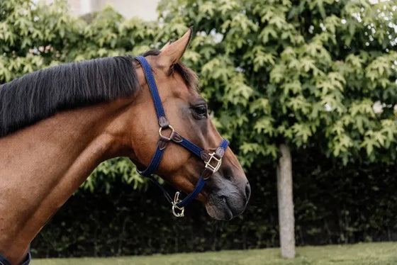 Kentucky Plaited Nylon Halter Navy