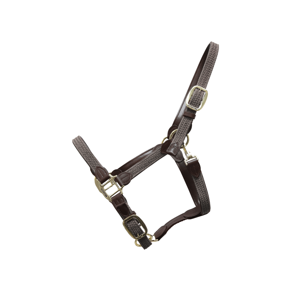 Plaited Nylon Halter | Kentucky Horsewear | Durable — Image 14