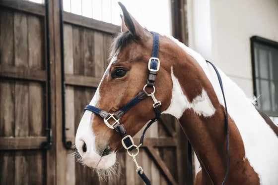 Kentucky Plaited Nylon Halter Navy