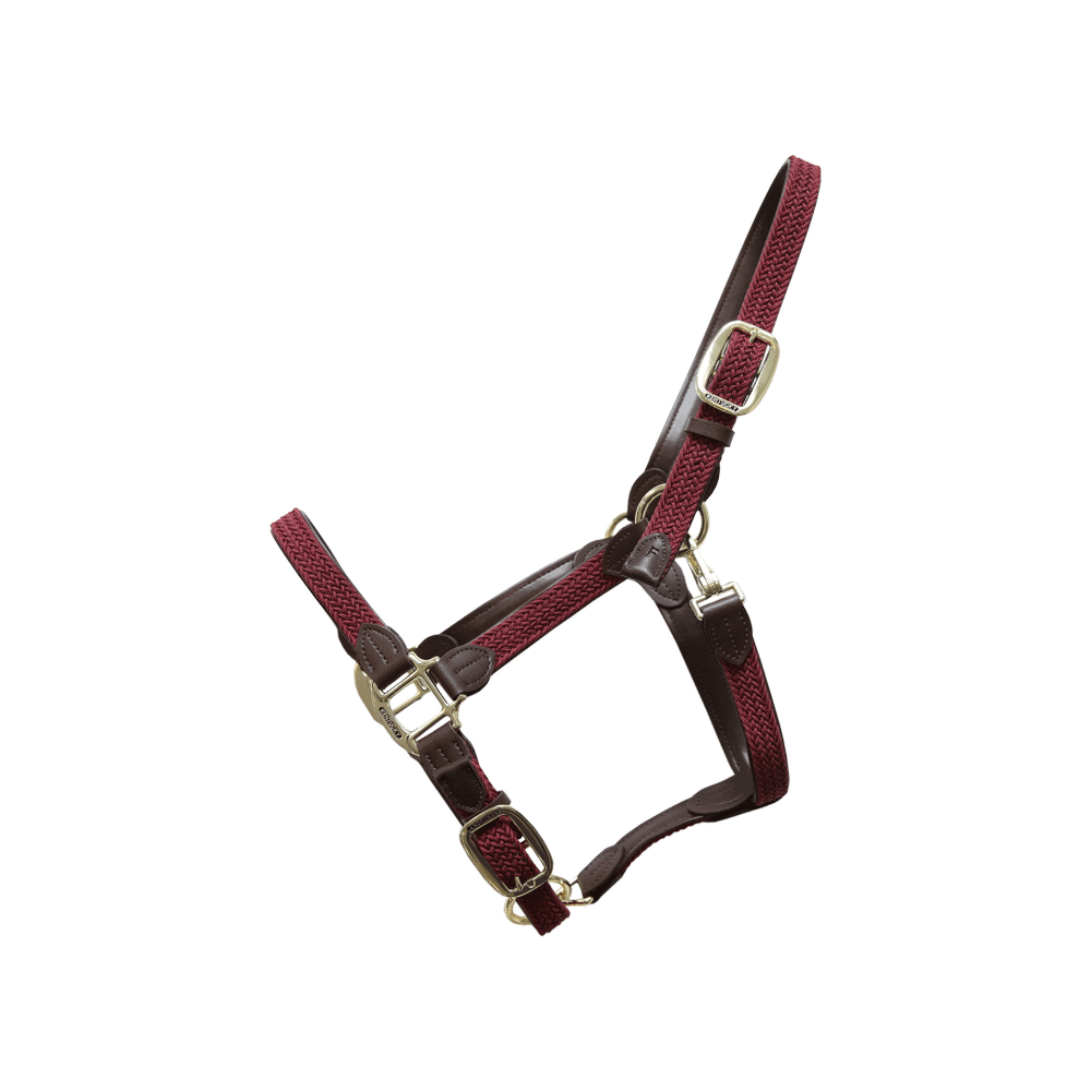 Plaited Nylon Halter | Kentucky Horsewear | Durable — Image 10